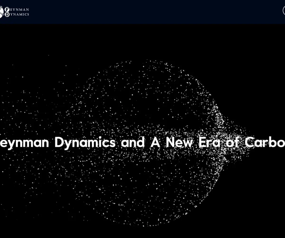 Feynman Dynamics homepage